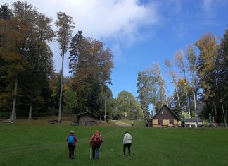Šetnjom po Horvatovih 500 stuba