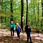 IMG_20201018_144448_2