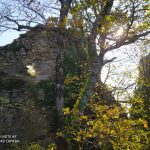 IMG-20201110-WA0014