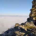 IMG-20201110-WA0016