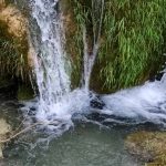 IMG-20210604-WA0021