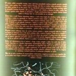 211957182_2949320352007239_6792590865442760774_n