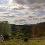 IMG-20210720-WA0013
