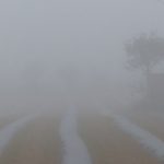 PAISAJE 2018 – kopija