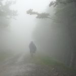 U NEPOZNATO 2011 – kopija