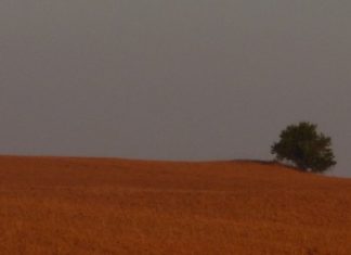 Izložba fotografija Damira Barešića „SVJETLOPISI S PUTA“