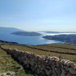 IMG-20211012-WA0020