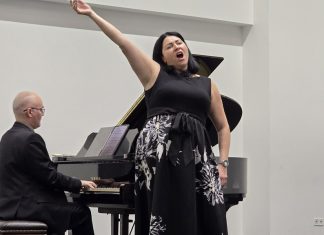Prekrasna umjetnička večer u Tuzli. Upriličen koncert Arijane Gigliani Philip i Ivana Batoša