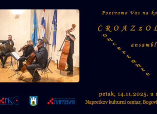 CROAZzOLLA Concertante ansambl – nastavak „Glazbenih druženja“